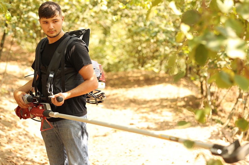YATE ERM-4545D 3,5 HP SLX MOTORLU SIRTDAN KANCALI-SARSICI ZEYTİN-CEVİZ-BADEM HASAT MAKİNESİ